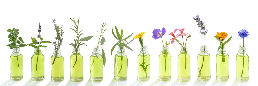 Discover the benefits of using essential oils at home.