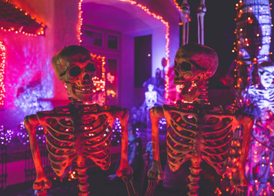 Branding Myths busted by Slangbusters Studio