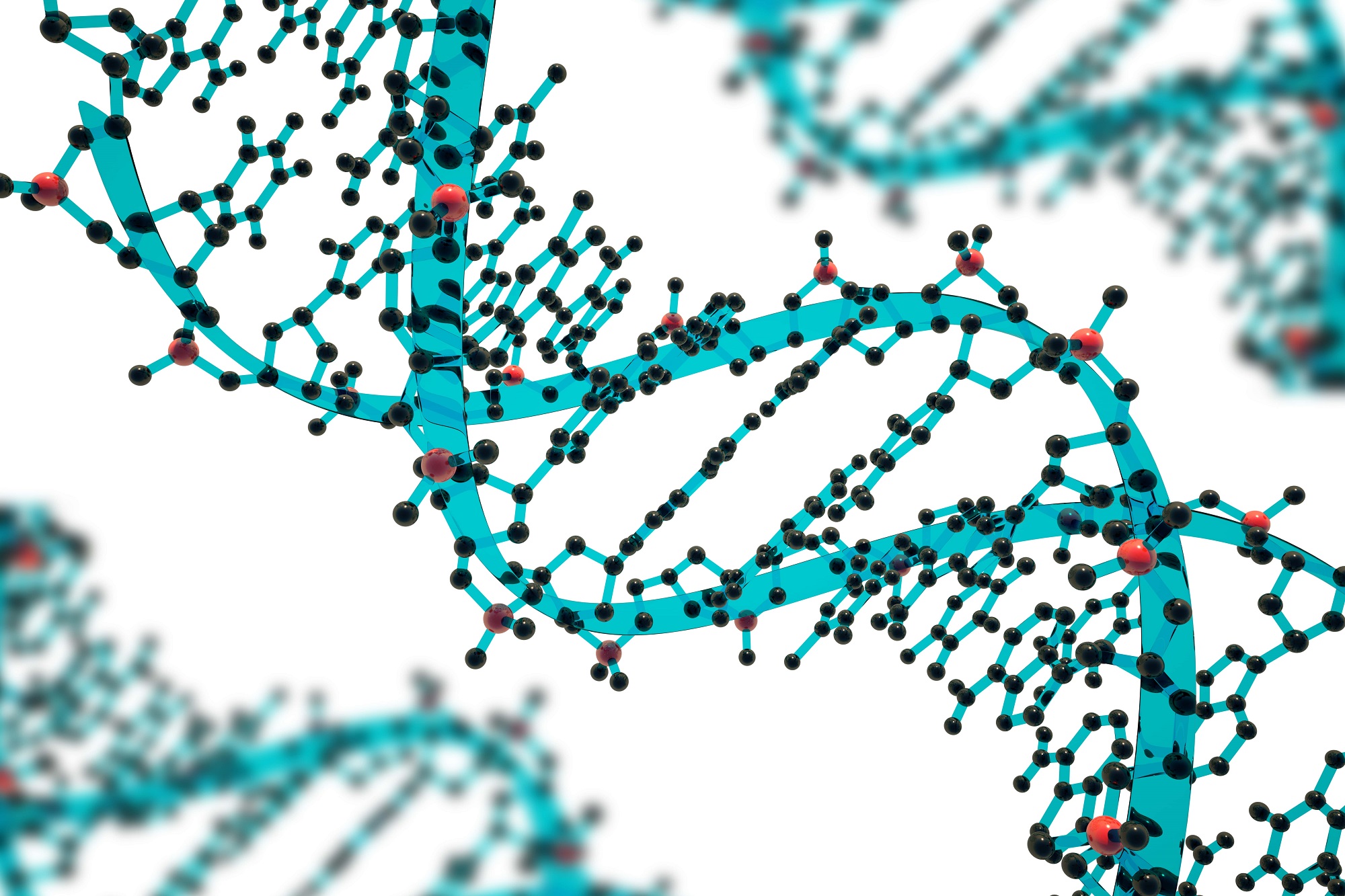 Genome Engineering Editing Market Size, Share, Regional Overview and Global Forecast to 2028