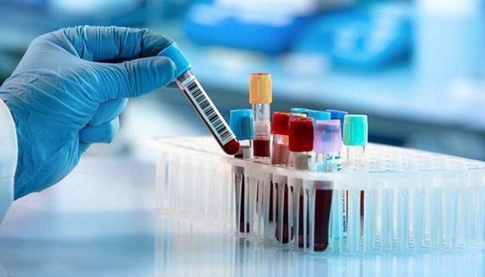 Cord Blood Banking Services Market Size, Share, Regional Overview and Global Forecast to 2028