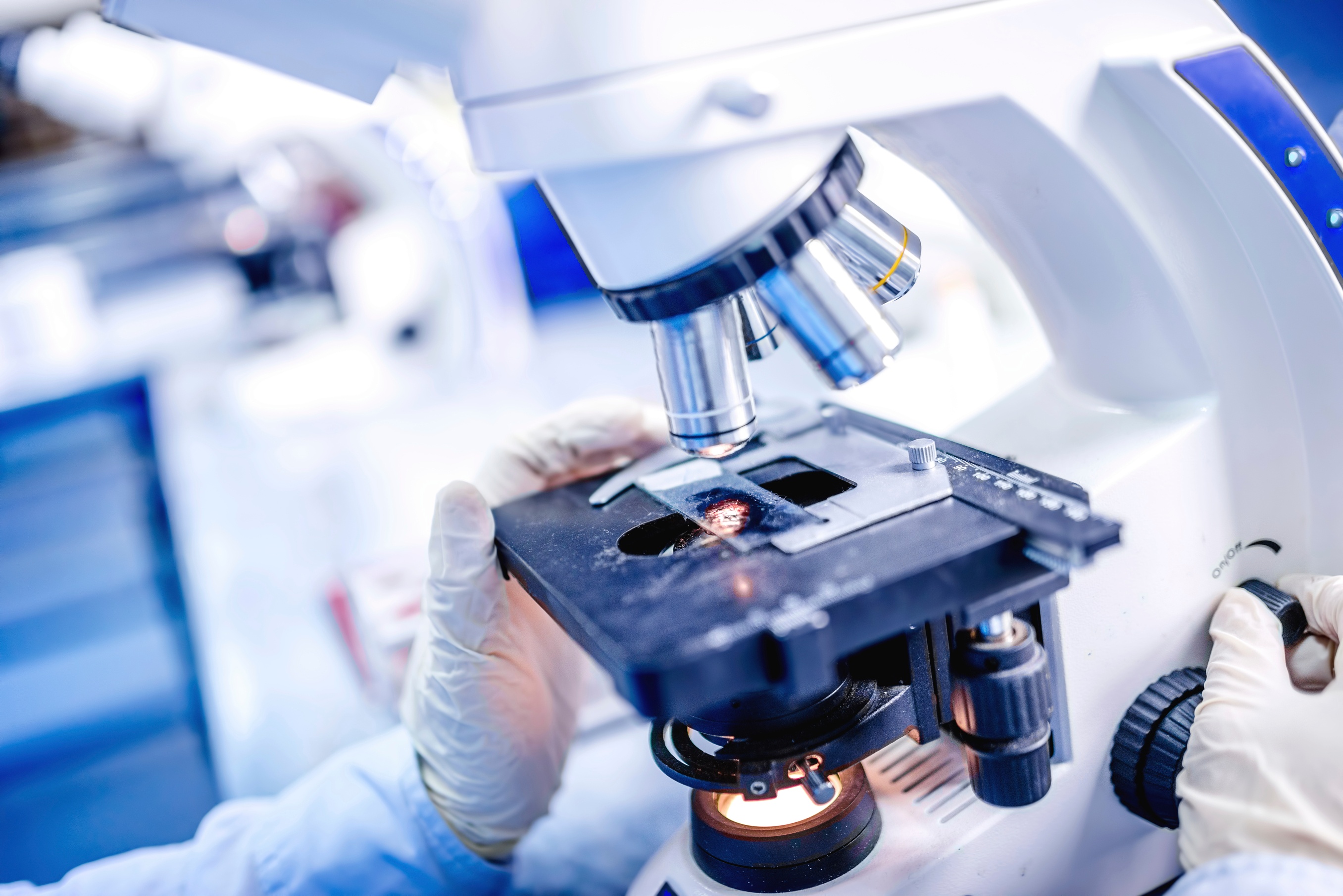 Preclinical CRO Market Size, Growth & Global Forecast Report to 2028