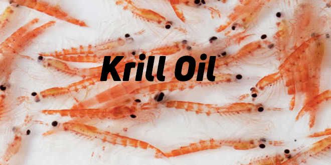 Krill Oil Market Size, Share, Growth, Opportunities and Global Forecast to 2028