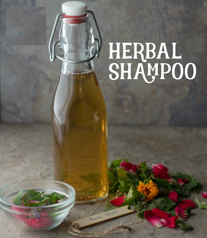 Herbal Shampoo Market Size, Share, Growth Opportunity & Global Forecast to 2028