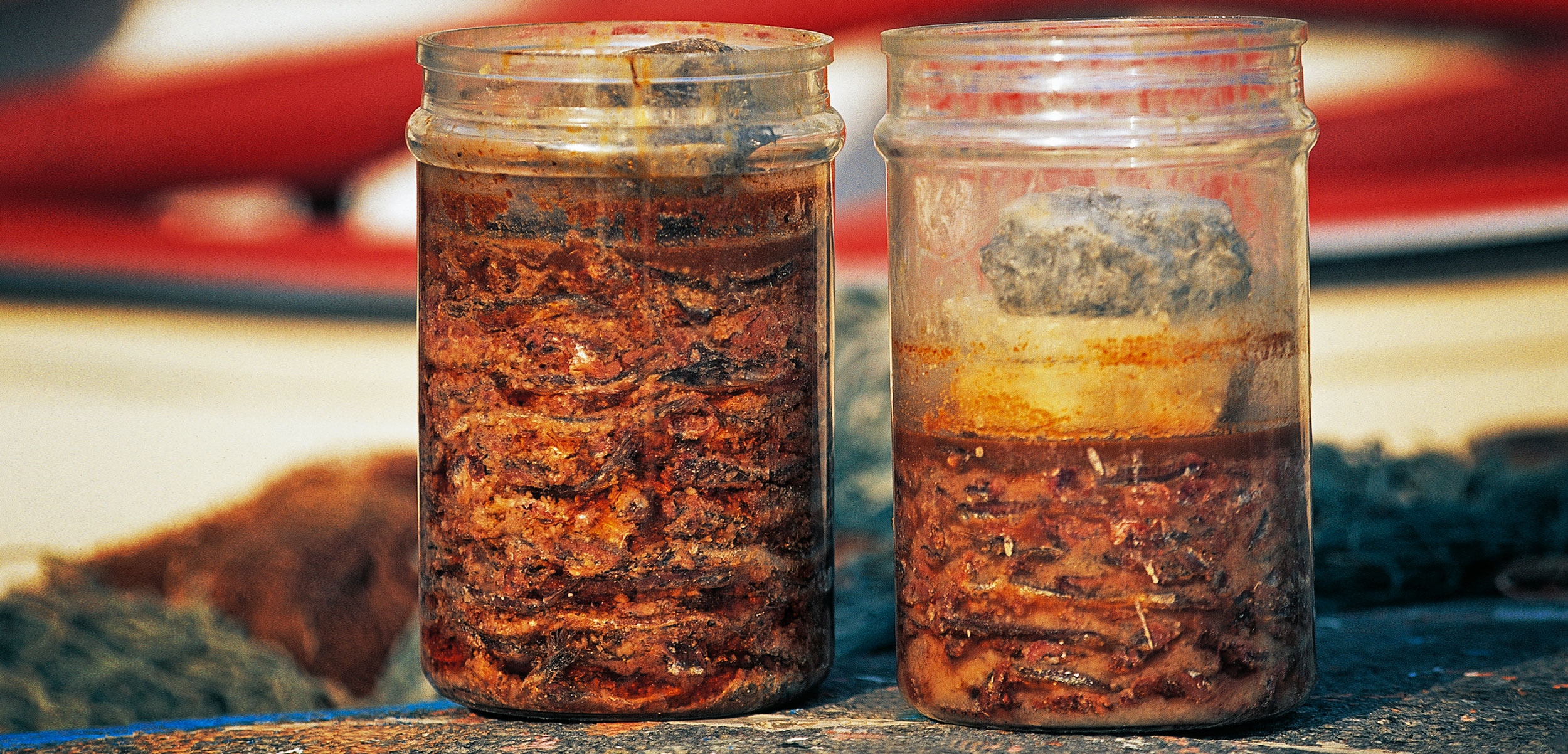 Global Fish Fermentation Market Report, Latest Trends, Industry Opportunity & Forecast to 2028