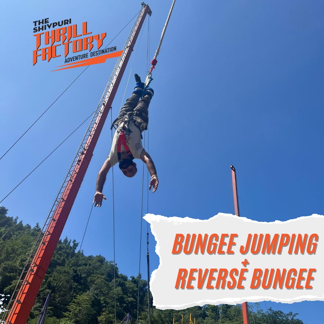 Daredevil Fun in Rishikesh: Try Reverse Bungee Jumping!
