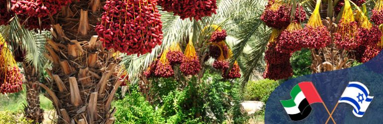 What Is Kosher, Certificate & What Does Kosher Mean?