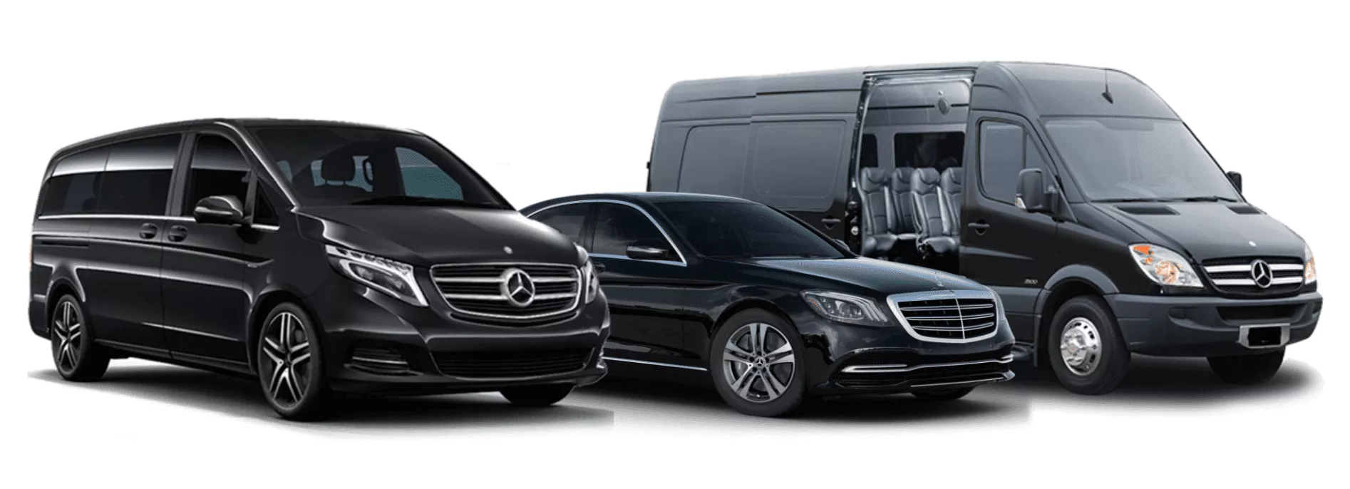 How to Choose A Van Rental for Sightseeing?