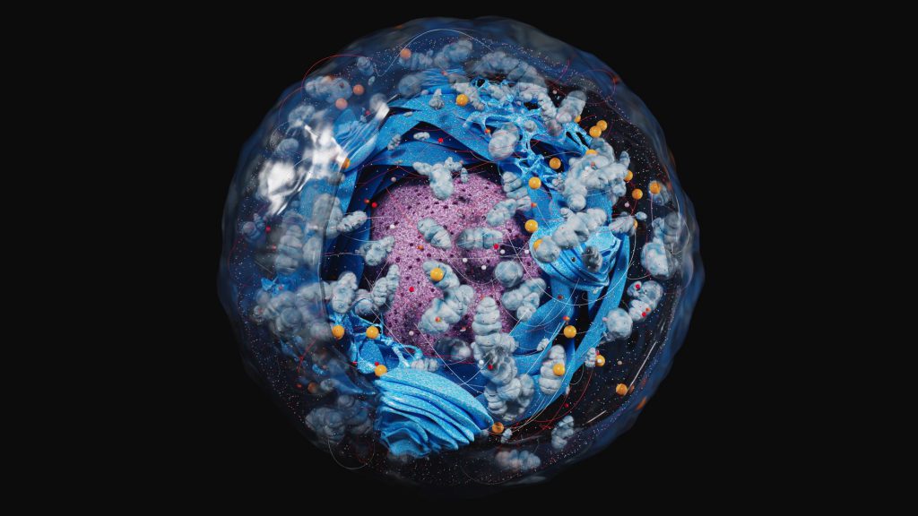 Cell Isolation Market Size, Share, Growth, Opportunities and Global Forecast to 2028