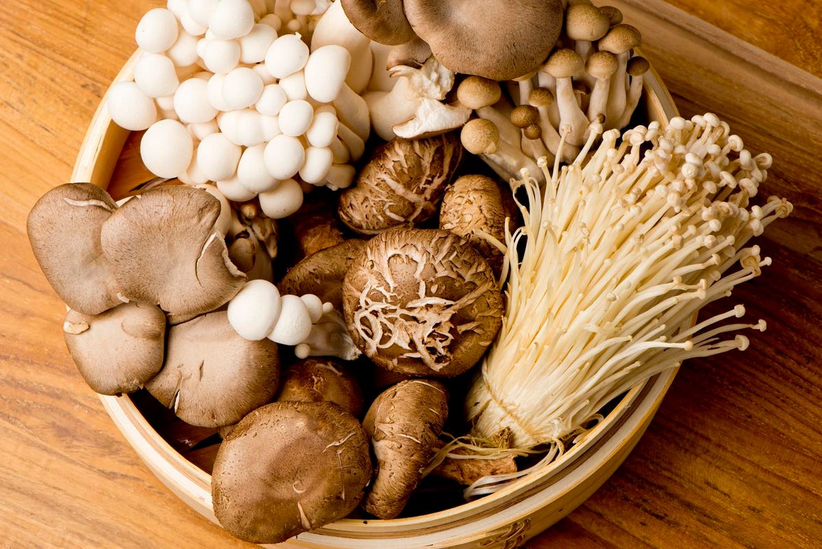 Functional Mushroom Market 2022 Major Key Players and Industry Analysis Till 2028