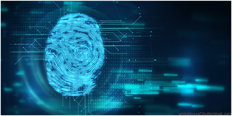 Global Fingerprint Identification Chip Market Report, Latest Trends, Industry Opportunity & Forecast to 2030