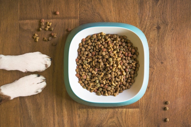 Global Cat & Dog Food Toppers Market 2022 - Top Key Players Analysis Report Till 2028