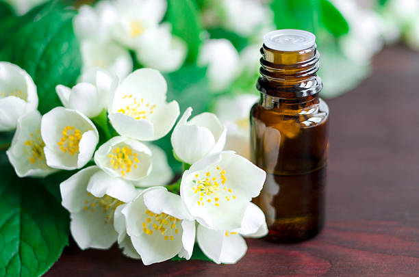 Jasmine Fragrance Market 2022 Major Key Players and Industry Analysis Till 2028