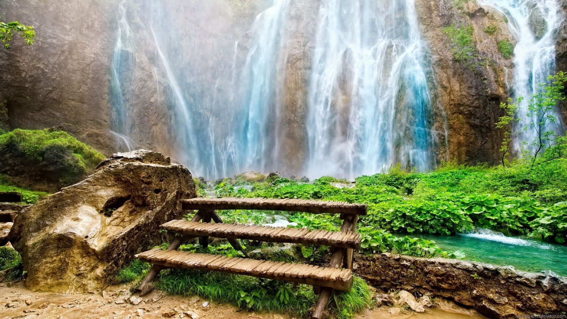 tour company in delhi