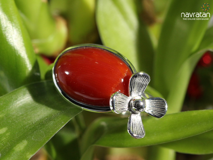 Learn All About The Auspicious Italian Red Coral Gemstone
