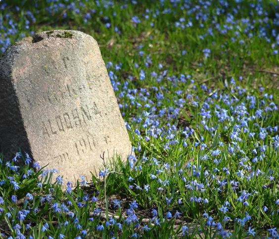 Creative Elegance: 10 Unique Headstone Designs and Ideas