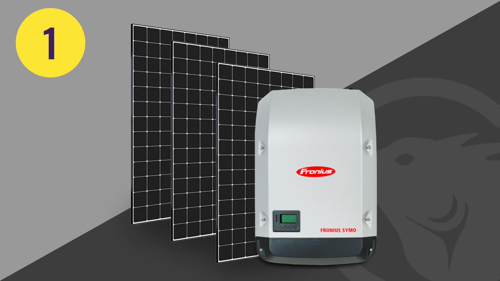 Best Solar Panel Installers in Australia | Eguana Solar