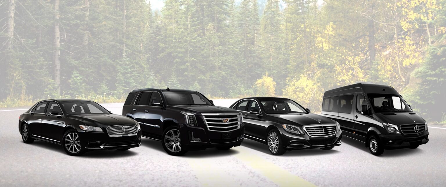 Rent a Luxury Car or Coach in Qatar for an Exciting Trip 