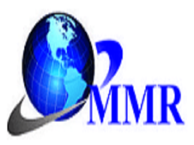 Open-Source Intelligence Market Size, Share, and Trends Analysis by 2029