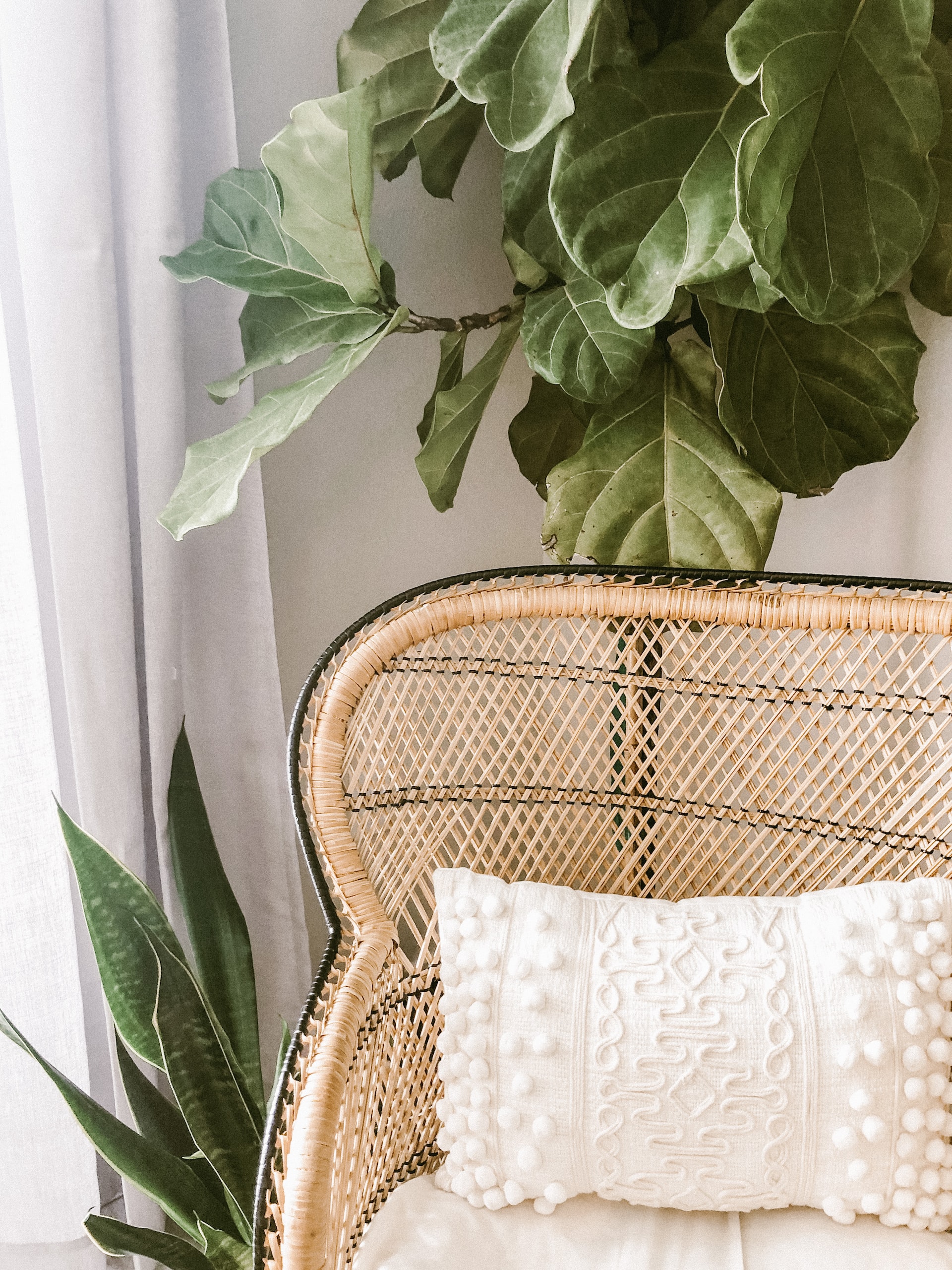 How to pick the right rattan furniture