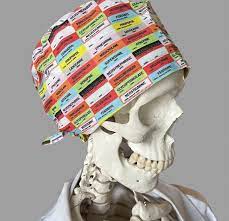 Tailored Veterinary and Anesthesiologist Scrub Caps for Precision Care