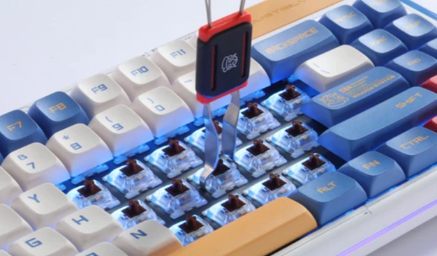 Do Mechanical Keyboards Shape You More Enthusiastic?