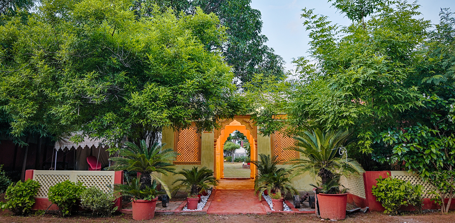 5 tips for your trip to tiger safari in Ranthambore.