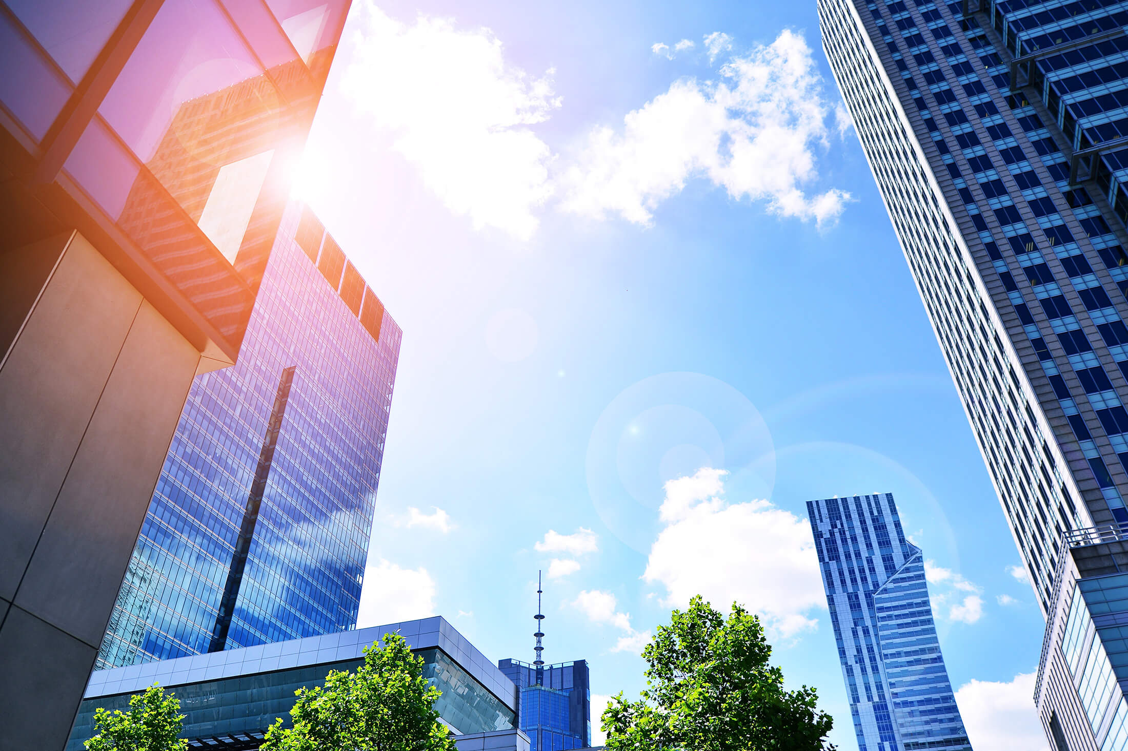 Investment Manager