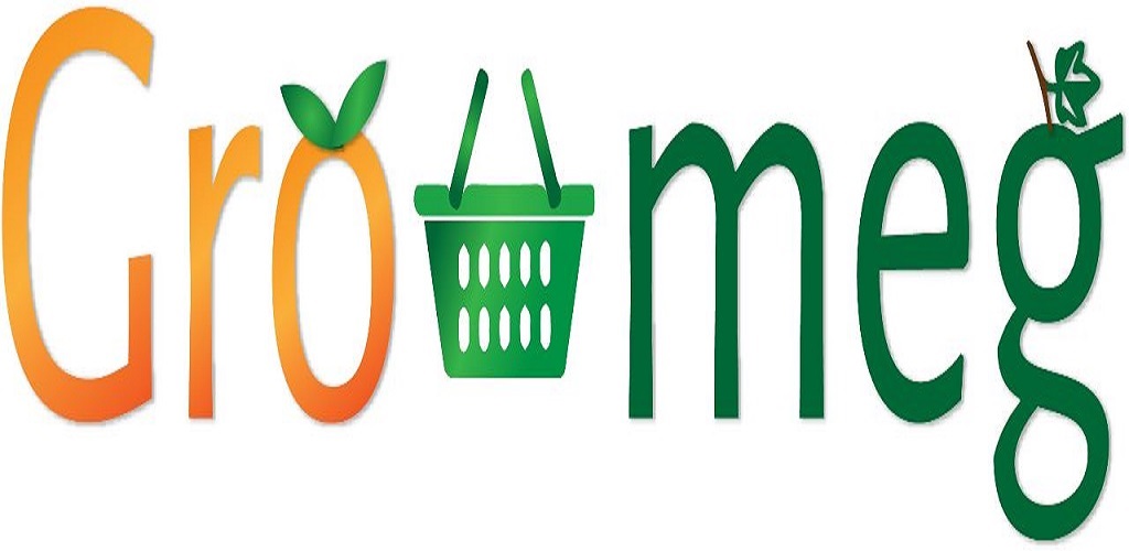 Online Grocery Shopping 