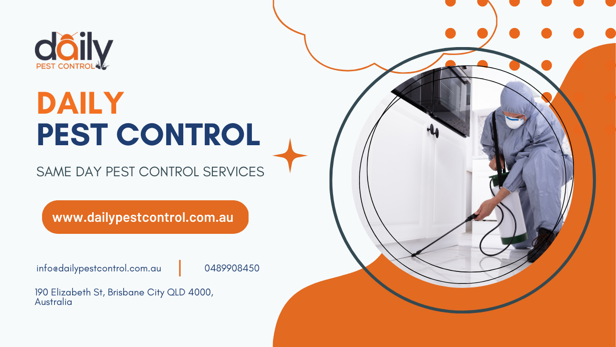 Why Do You Need Professional Bee Removal Services in Brisbane?