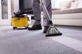 The Top Benefits of Hiring a Professional Carpet Cleaner in Sydney