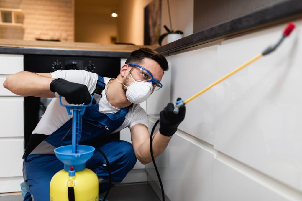 Why Professional Pest Control in Melbourne is Essential for Your Health and Safety?