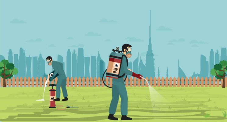 When Should You Hire A Melbourne Pest Control Company?