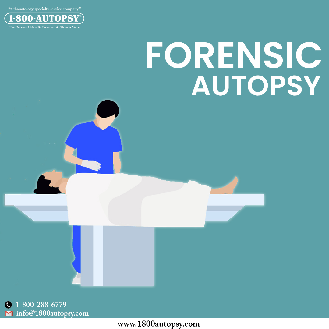Forensic Autopsy
