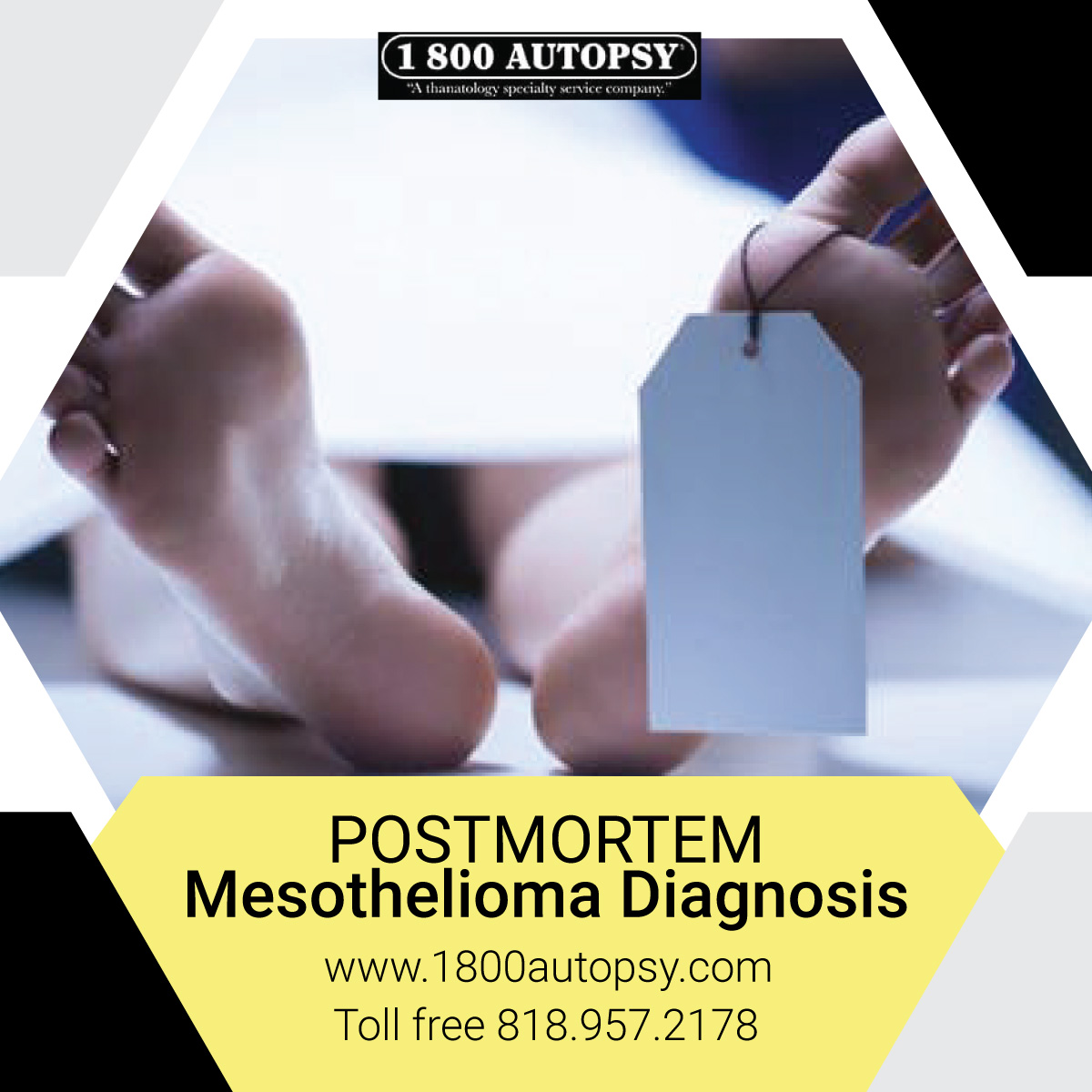 Postmortem Mesothelioma Diagnosis