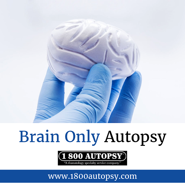 Brain Only Autopsy