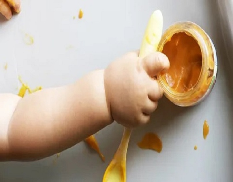 Organic Baby Food Market: A Global and Regional Analysis for 2033