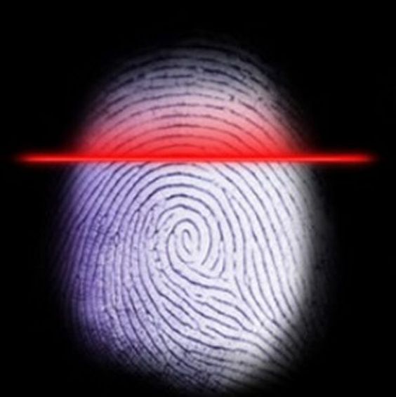 What is the importance of employee monitoring in an organization?