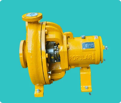 Centrifugal Pumps