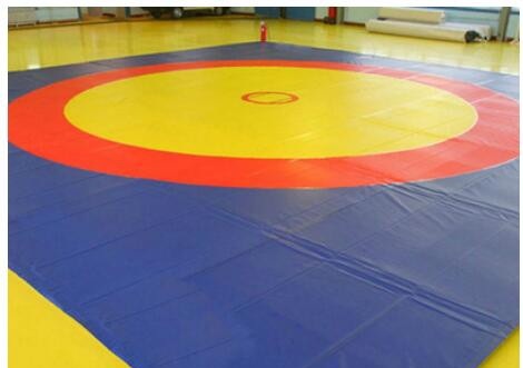 Wrestling Mats Wholesaler