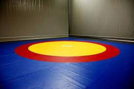 Wrestling Mats Manufacturer in Delhi