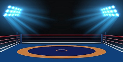 Wrestling Mats Manufacturer in India