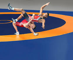 Wrestling Mats