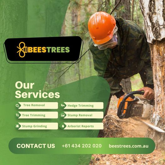 Tree Removal and Residential Tree Cutting Service