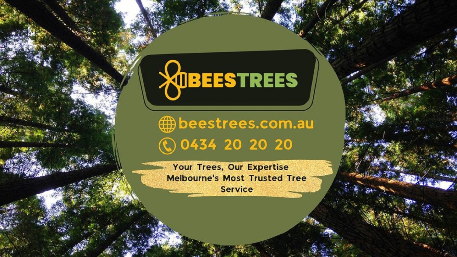 Tree Stump Grinding and Stump Removal near You 