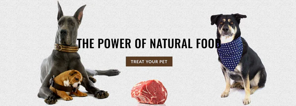 Raw dog food meal prep: tips and tricks  | RogueRaw