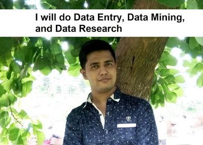 I will do data entry, data mining, and internet research at Fiverr