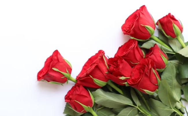 Why Do Flowers Make an Anniversary Special?
