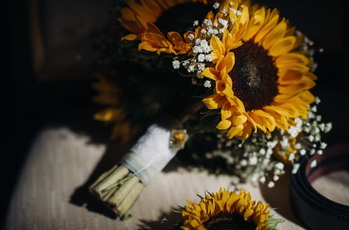 How to Take Care of Sunflowers