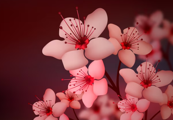 History Of Cherry Blossom Flower
