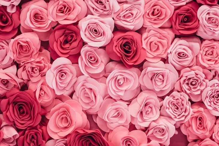 Meaning And Origin Of The Pink Roses